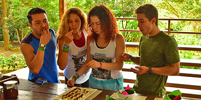 Chocolate Experience